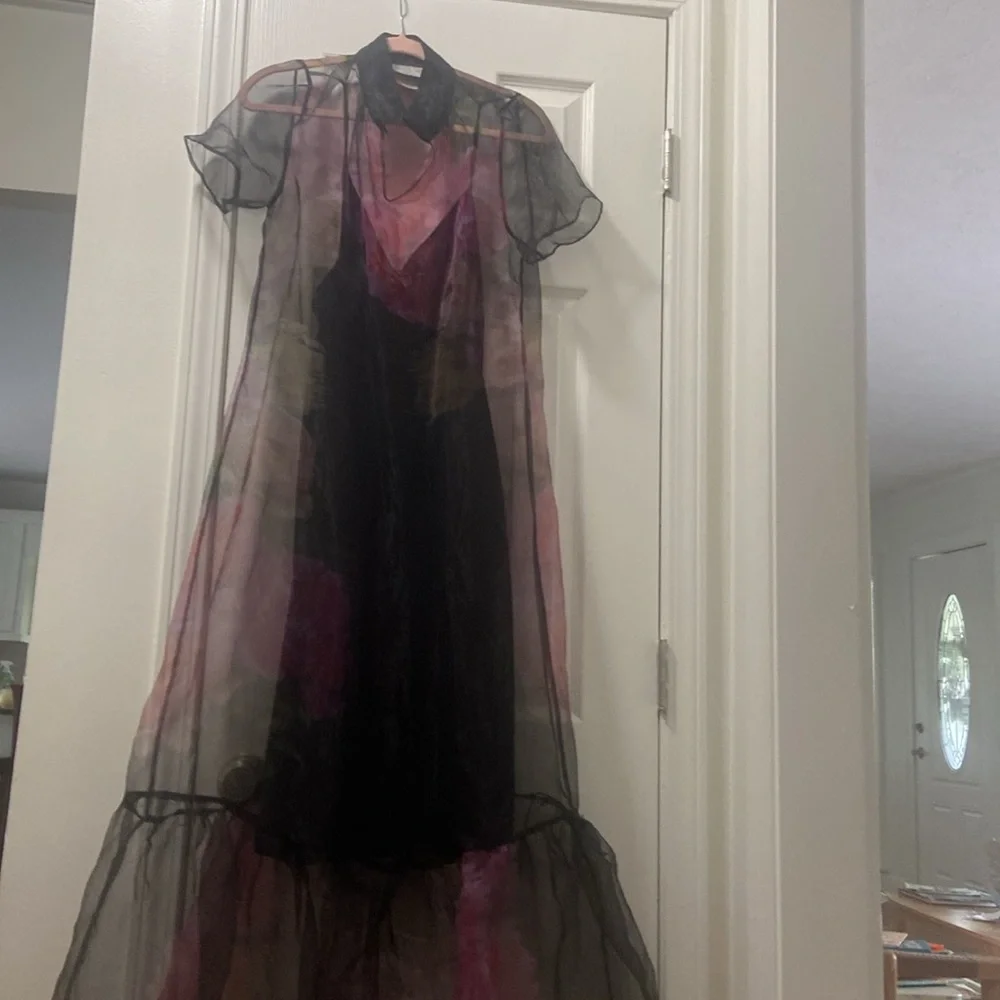 BHLDN Carina Short-Sleeve Organza Dress - Picture 7 of 7